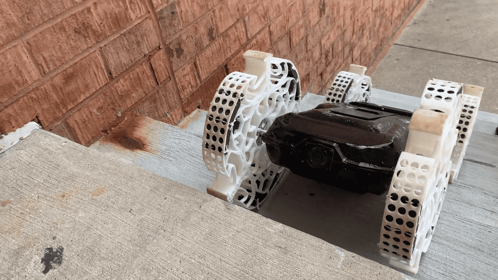 Ocebot Climbing Stairs Ocebot Climbing Stairs